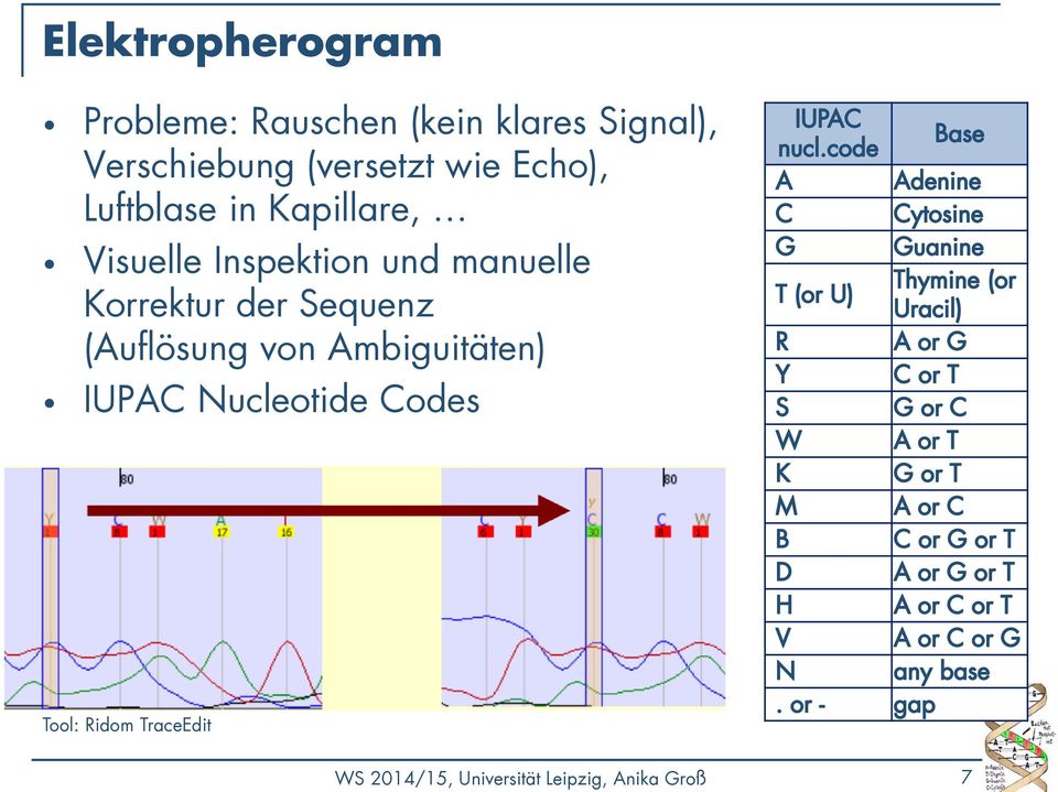 manuelle Korrektur der Sequenz (Auflösung von Ambiguitäten) IUPAC