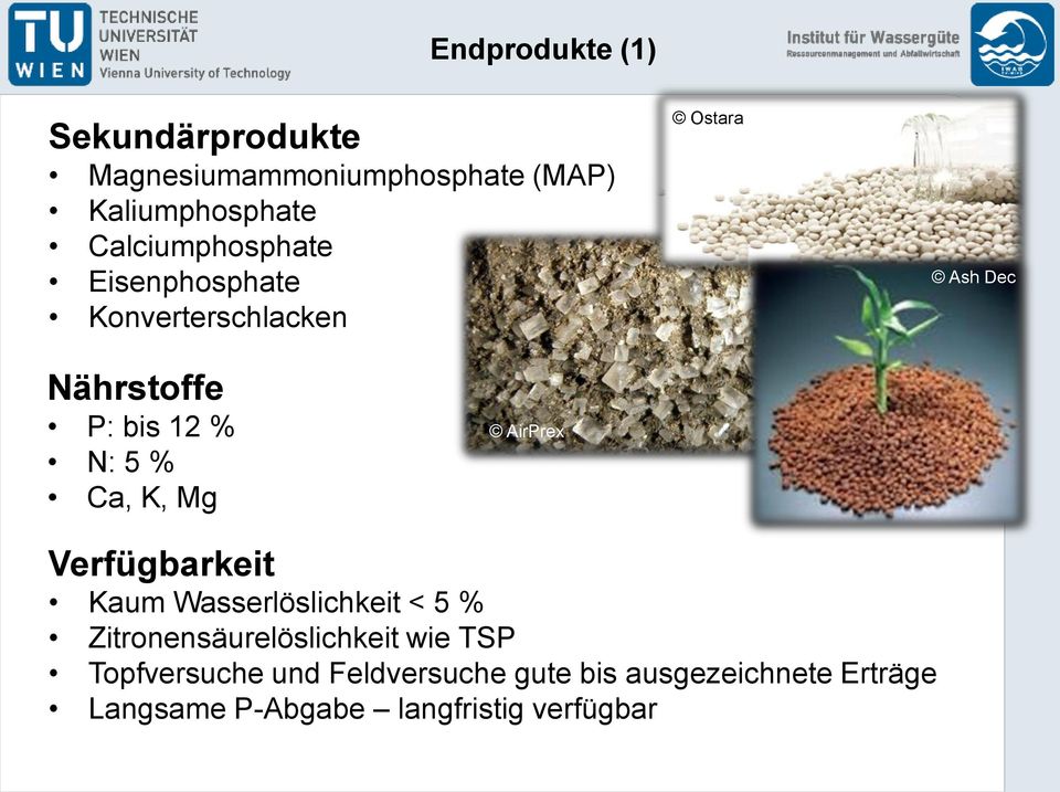 Verfügbarkeit Kaum Wasserlöslichkeit < 5 % Zitronensäurelöslichkeit wie TSP Topfversuche und Feldversuche