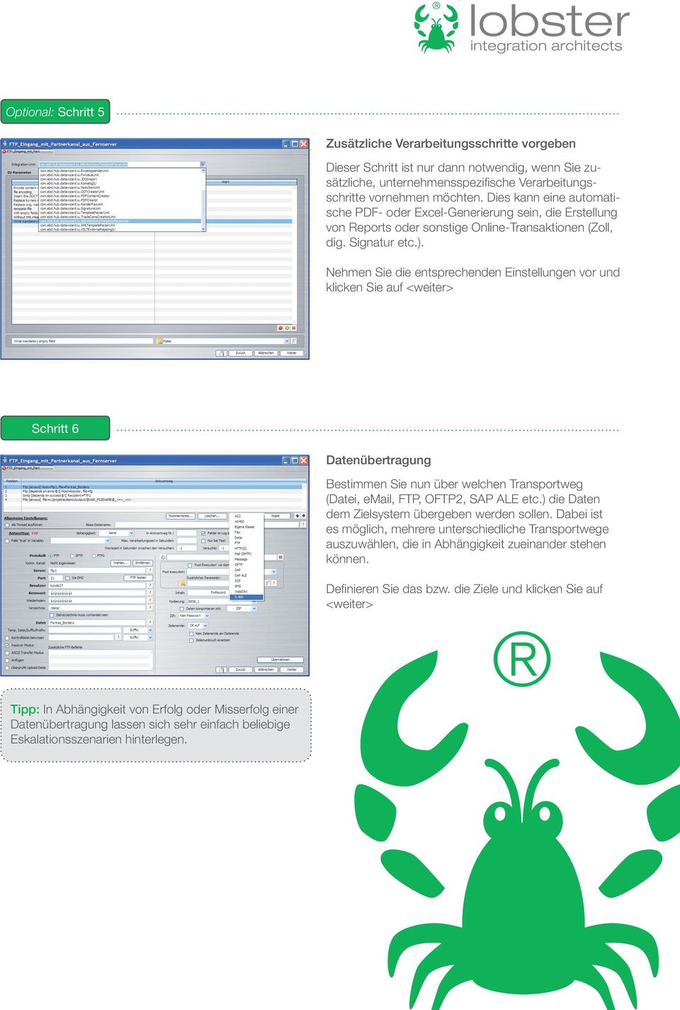 Nehmen Sie die entsprechenden Einstellungen vor und klicken Sie auf <weiter> Schritt 6 Datenübertragung Bestimmen Sie nun über welchen Transportweg (Datei, email, FTP, OFTP2, SAP ALE etc.