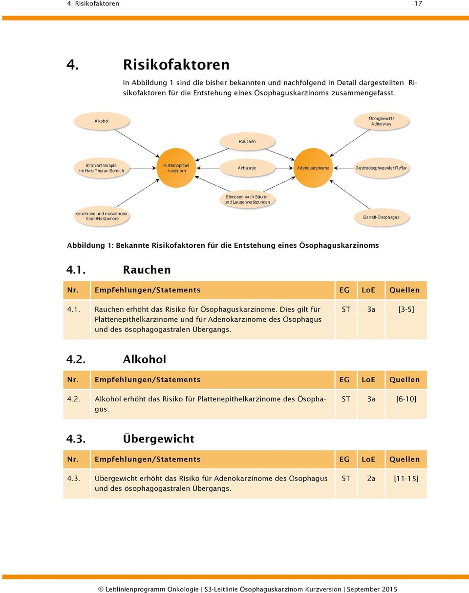Abbildung 1: Bekannte Risikofaktoren für die Entstehung eines Ösophaguskarzinoms 4.1. Rauchen 4.1. Rauchen erhöht das Risiko für Ösophaguskarzinome.