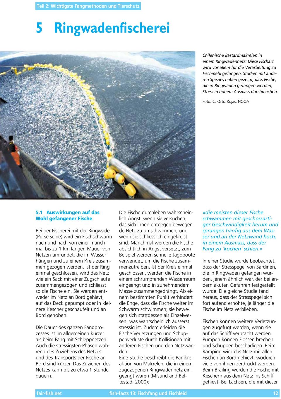 1 Auswirkungen auf das Wohl gefangener Fische Bei der Fischerei mit der Ringwade (Purse seine) wird ein Fischschwarm nach und nach von einer manchmal bis zu 1 km langen Mauer von Netzen umrundet, die