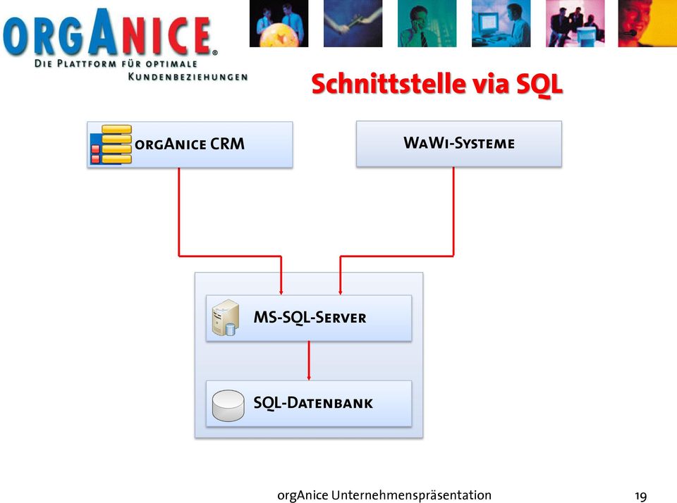 MS-SQL-Server SQL-Datenbank