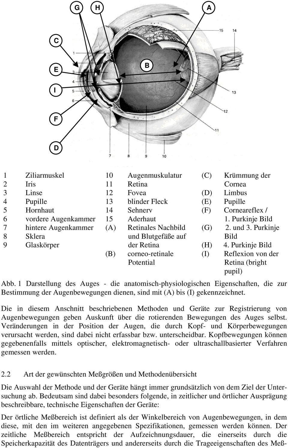 Purkinje Bild (H) 4. Purkinje Bild (I) Reflexion von der Retina (bright pupil) Abb.