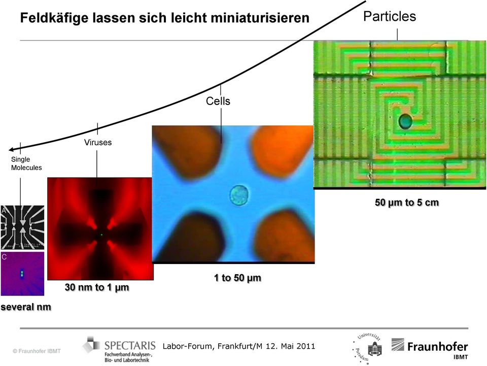 Viruses Single Molecules 50 µm to