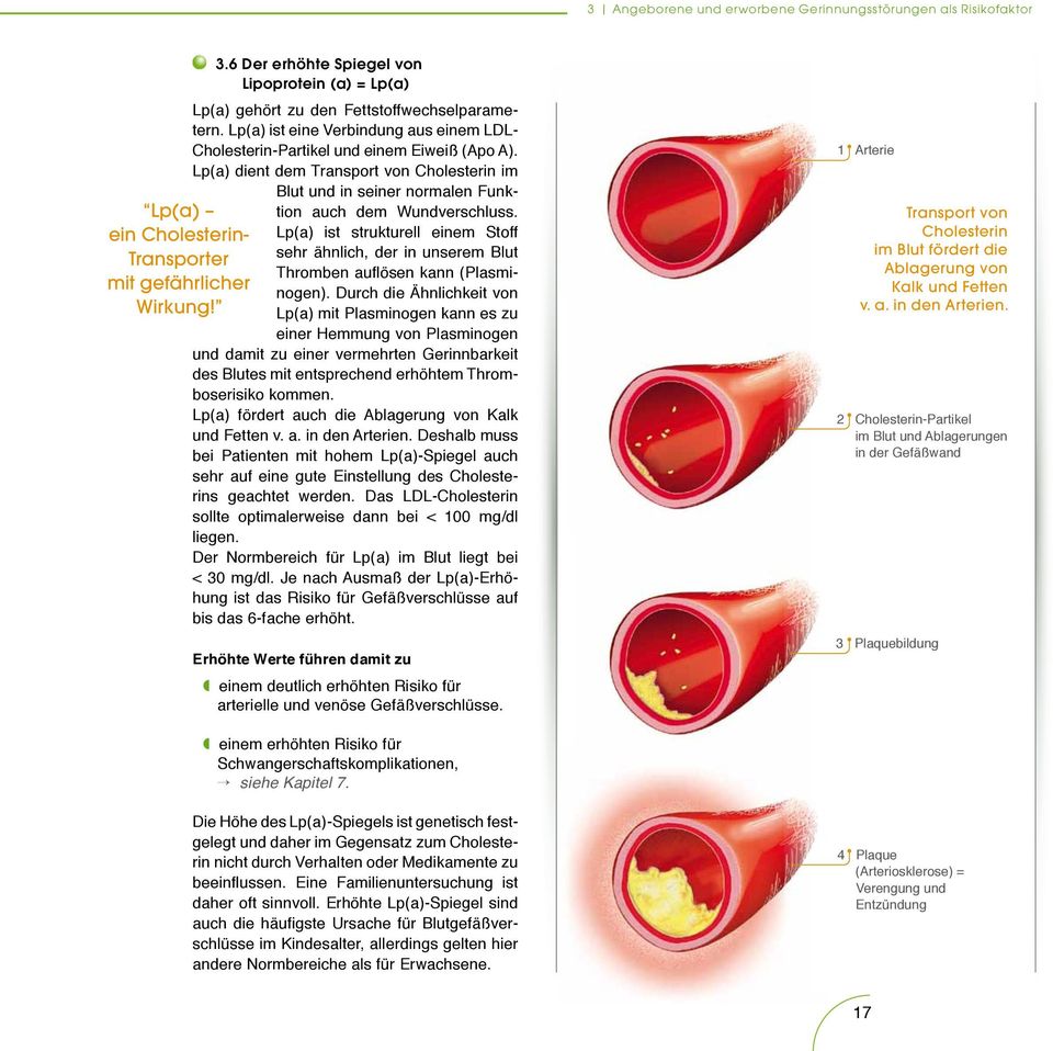 Lp(a) ein Cholesterin- Lp(a) ist strukturell einem Stoff Transporter sehr ähnlich, der in unserem Blut Thromben auflösen kann (Plasminogen). Durch die Ähnlichkeit von mit gefährlicher Wirkung!