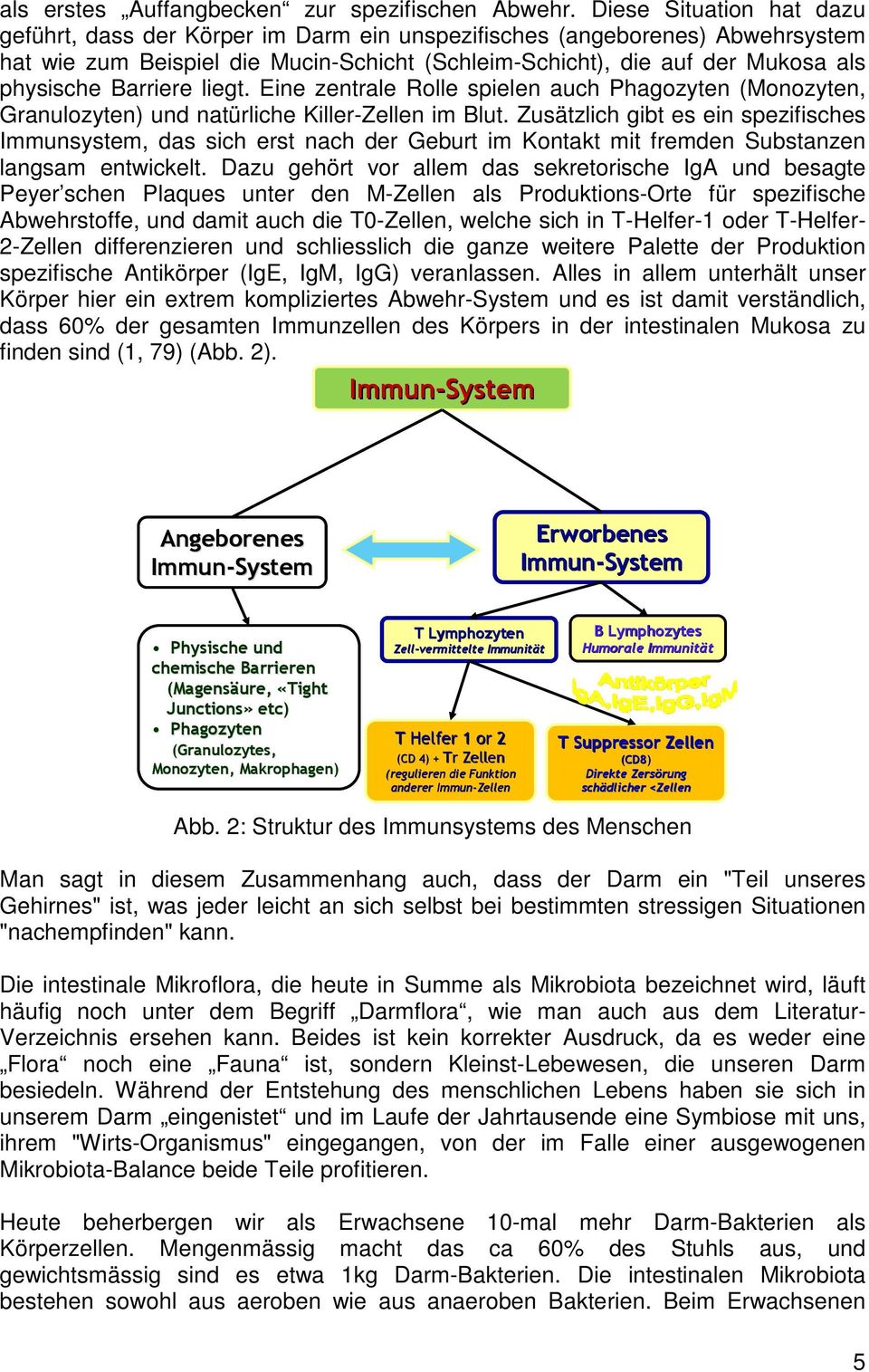 Barriere liegt. Eine zentrale Rolle spielen auch Phagozyten (Monozyten, Granulozyten) und natürliche Killer-Zellen im Blut.