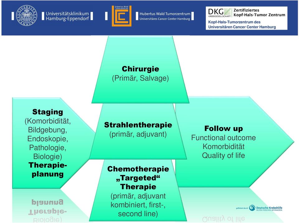 (primär, adjuvant) Chemotherapie Targeted Therapie (primär, adjuvant