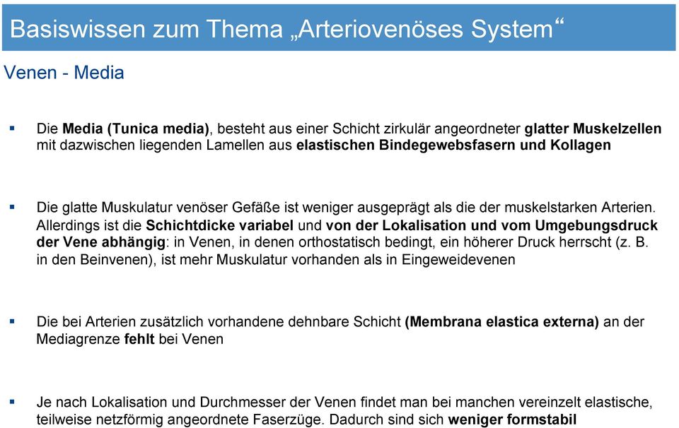 Allerdings ist die Schichtdicke variabel und von der Lokalisation und vom Umgebungsdruck der Vene abhängig: in Venen, in denen orthostatisch bedingt, ein höherer Druck herrscht (z. B.