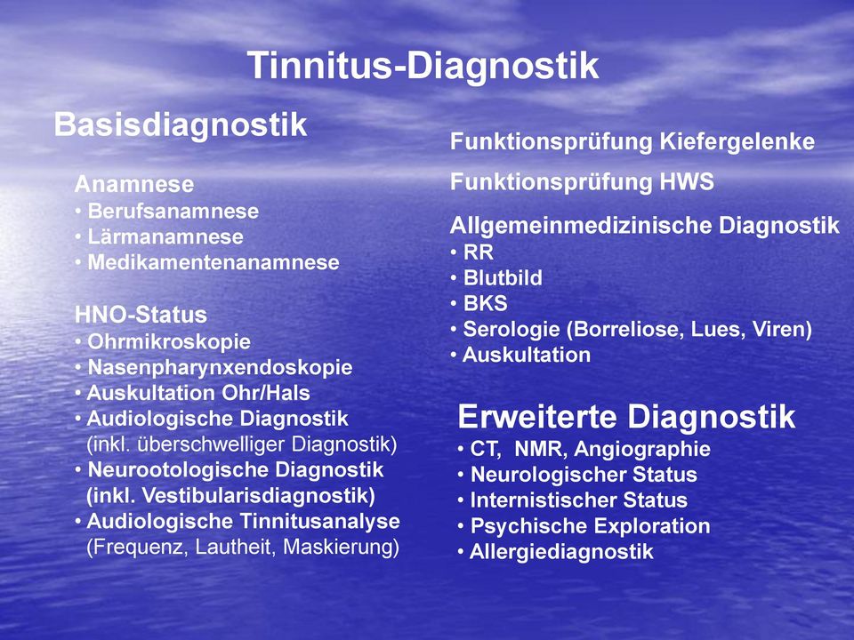 Vestibularisdiagnostik) Audiologische Tinnitusanalyse (Frequenz, Lautheit, Maskierung) Tinnitus-Diagnostik Funktionsprüfung Kiefergelenke Funktionsprüfung