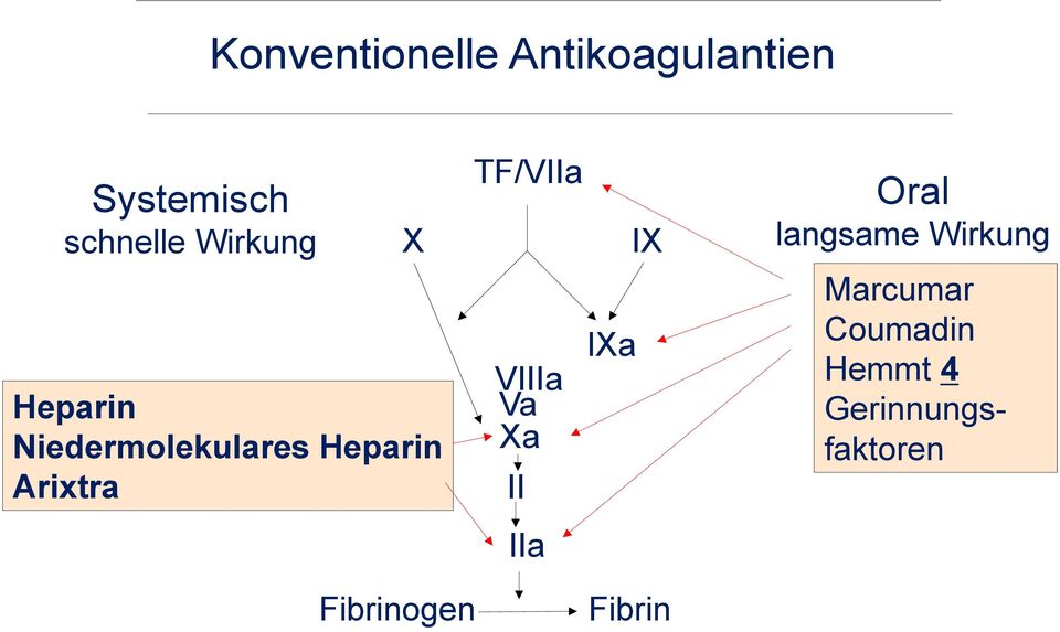 TF/VIIa IX IXa VIIIa Va Xa II IIa Oral langsame Wirkung