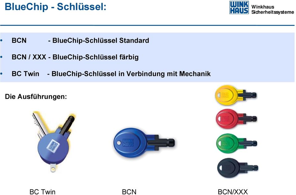 BC Twin - BlueChip-Schlüssel in Verbindung mit