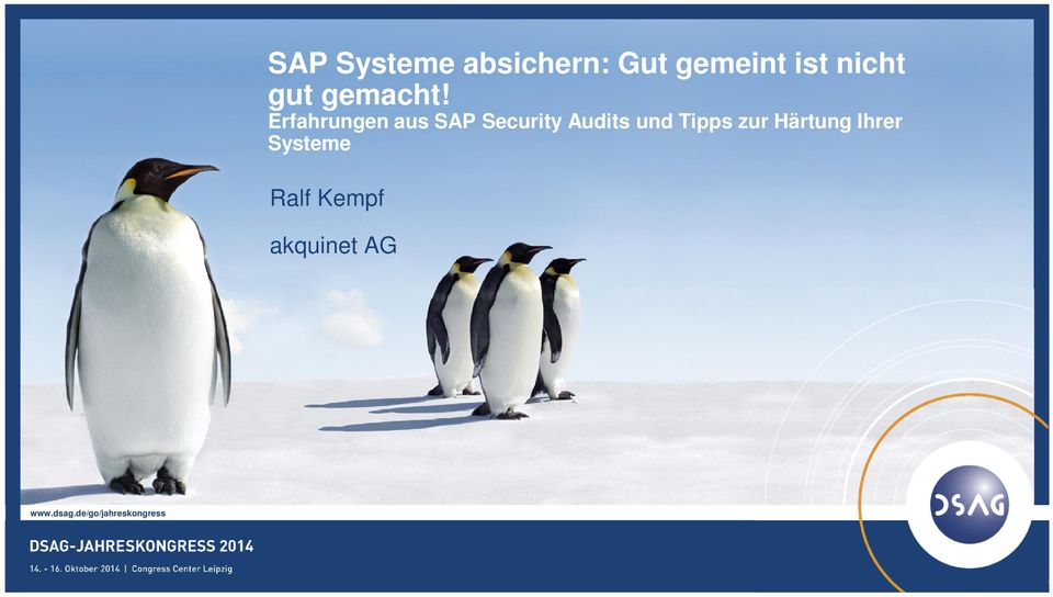 Erfahrungen aus SAP Security Audits und Tipps