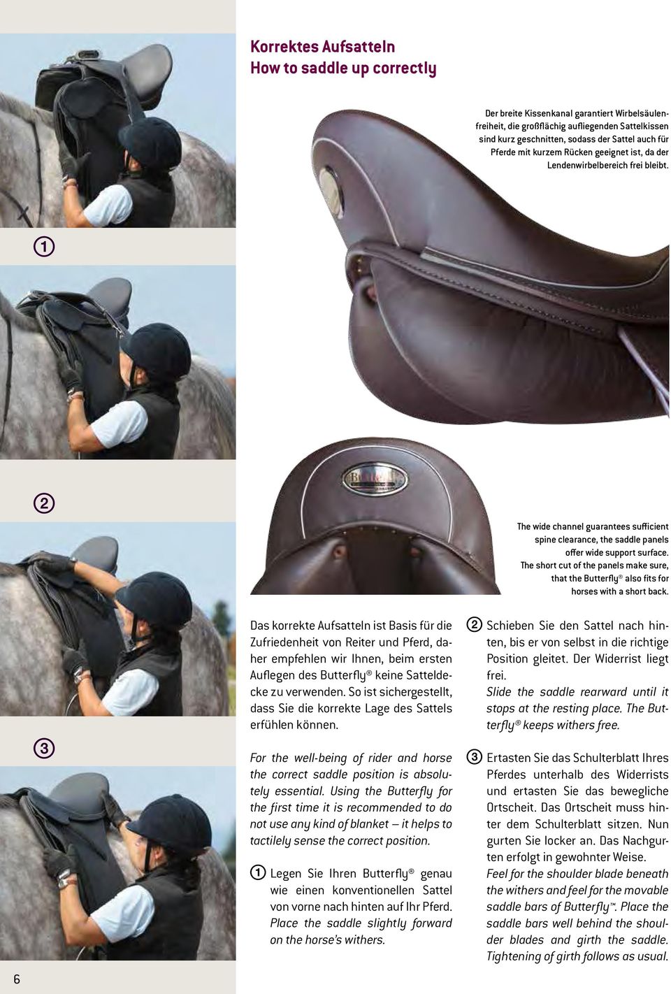 The short cut of the panels make sure, that the Butterfly also fits for horses with a short back.