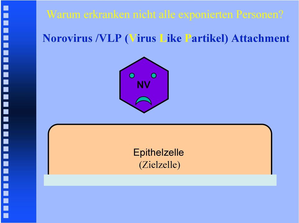 Norovirus /VLP (Virus Like
