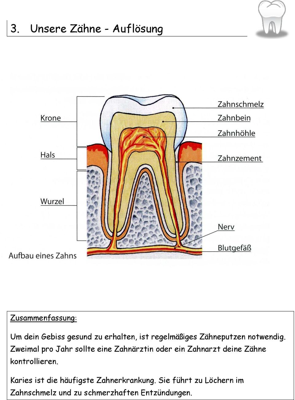Zweimal pro Jahr sollte eine Zahnärztin oder ein Zahnarzt deine Zähne
