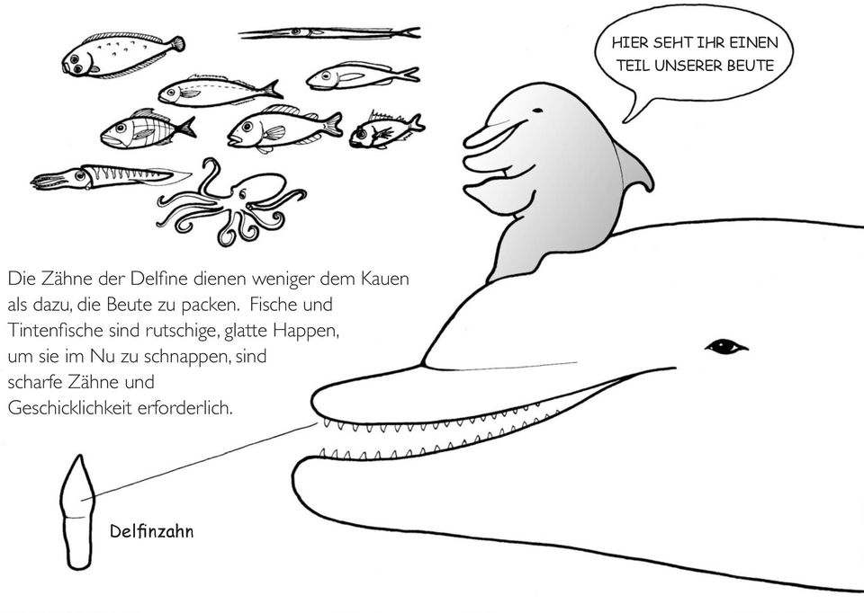 Fische und Tintenfische sind rutschige, glatte Happen, um sie im