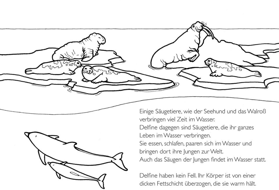 Sie essen, schlafen, paaren sich im Wasser und bringen dort ihre Jungen zur Welt.