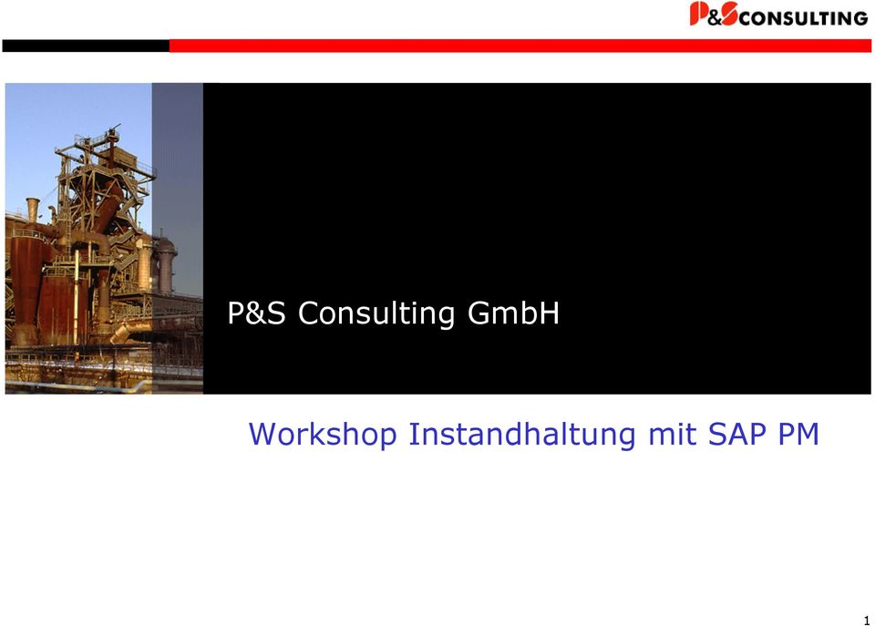 Consulting GmbH SAP PM