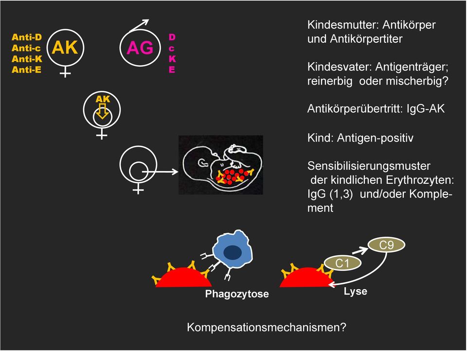 AK Antikörperübertritt: IgG-AK Kind: Antigen-positiv Sensibilisierungsmuster der