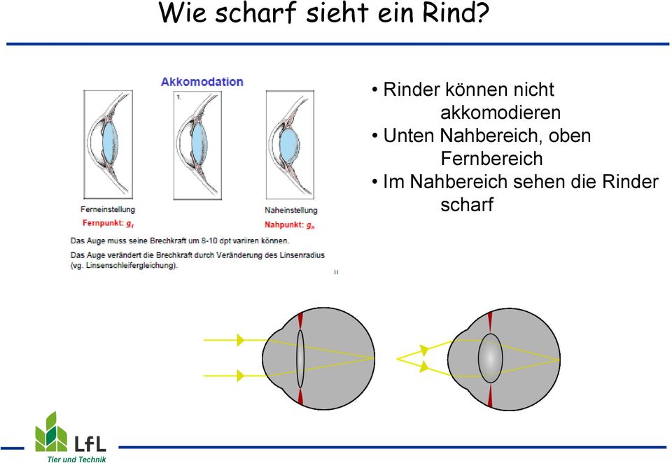 Unten Nahbereich, oben