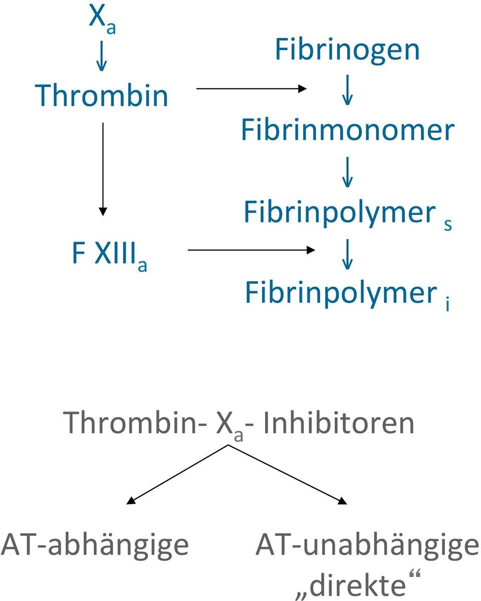 Fibrinpolymer i Thrombin- X a -