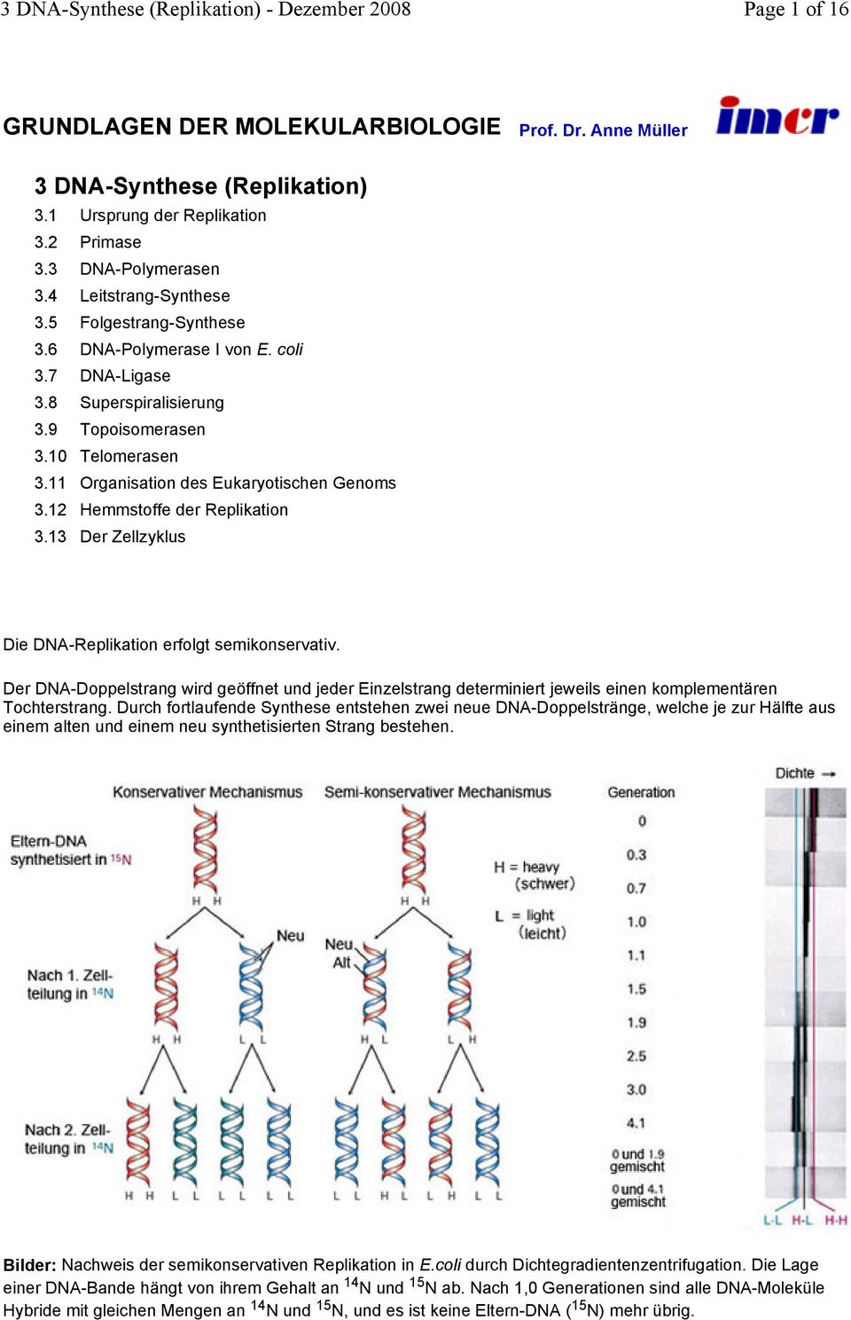 12 Hemmstoffe der Replikation 3.13 Der Zellzyklus Die DNA-Replikation erfolgt semikonservativ.