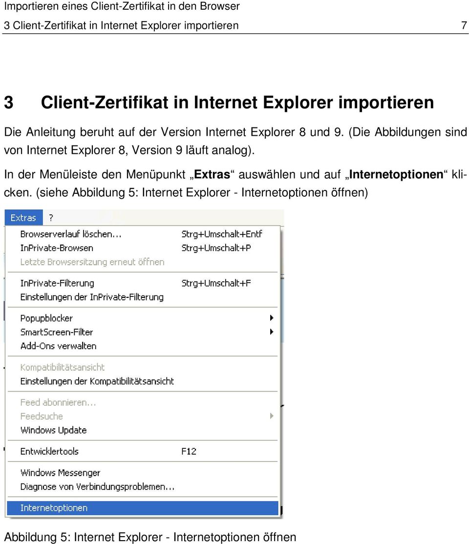 (Die Abbildungen sind von Internet Explorer 8, Version 9 läuft analog).