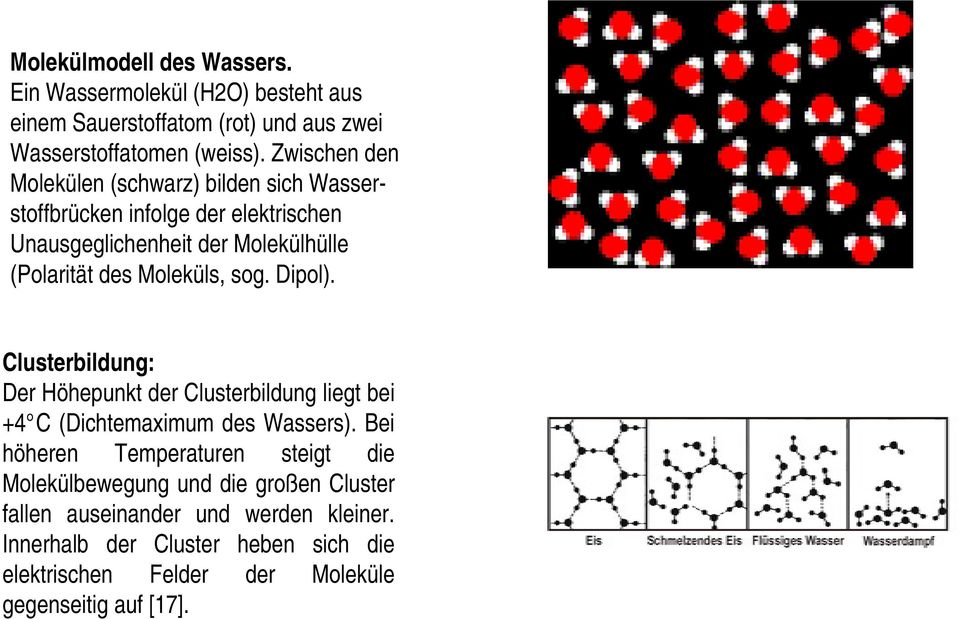 Moleküls, sog. Dipol). Clusterbildung: Der Höhepunkt der Clusterbildung liegt bei +4 C (Dichtemaximum des Wassers).