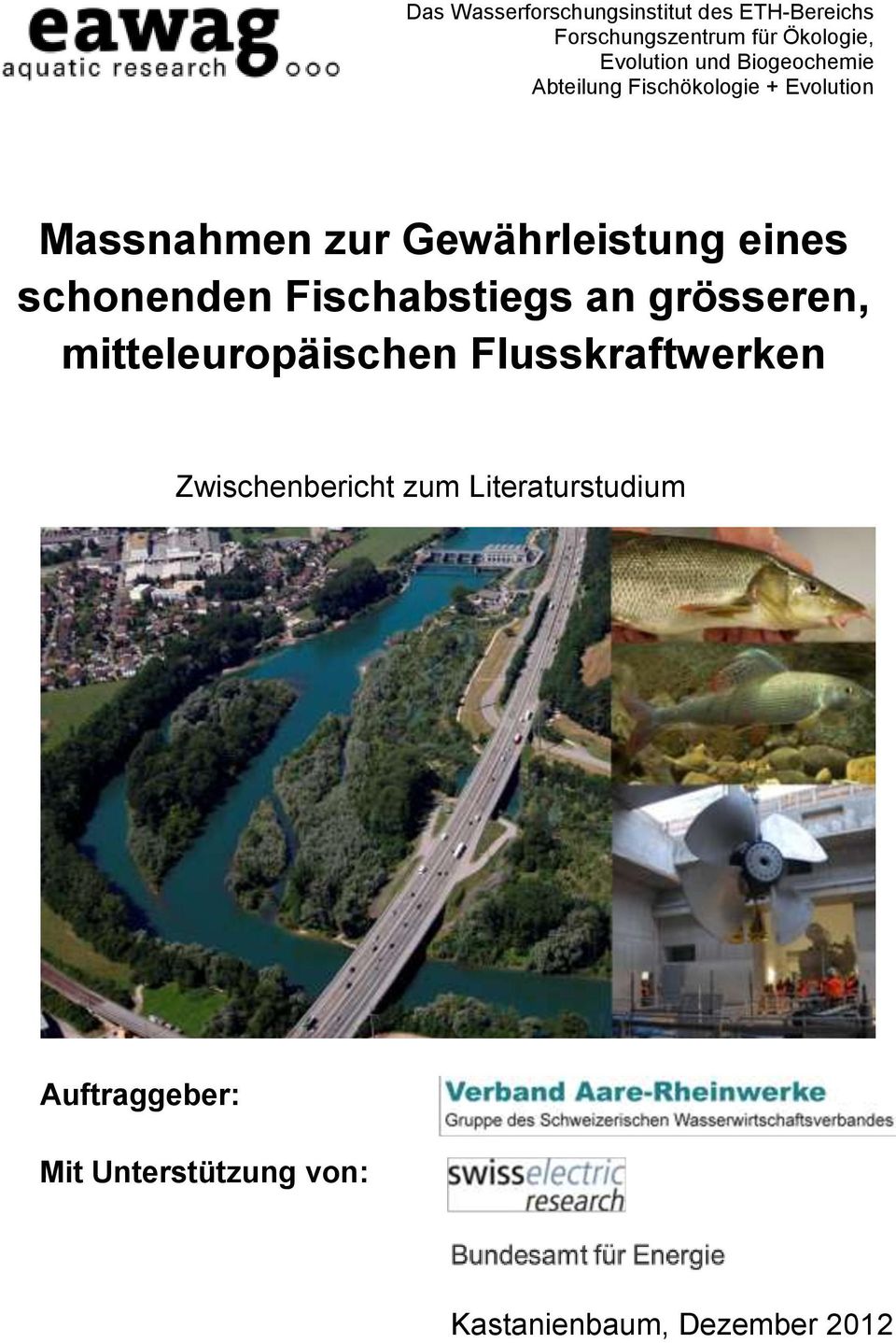 schonenden Fischabstiegs an grösseren, mitteleuropäischen Flusskraftwerken