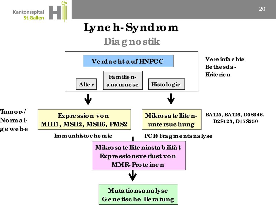 Immunhistochemie Mikrosatellitenuntersuchung PCR/Fragmentanalyse Mikrosatelliteninstabilität