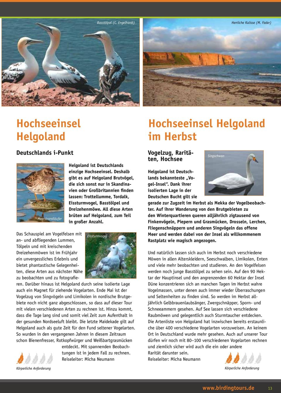 All diese Arten brüten auf Helgoland, zum Teil in großer Anzahl.
