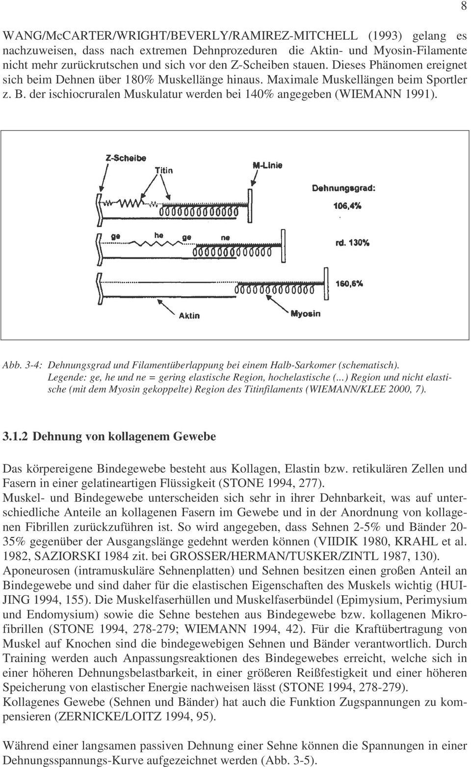 3-4: Dehnungsgrad und Filamentüberlappung bei einem Halb-Sarkomer (schematisch). Legende: ge, he und ne = gering elastische Region, hochelastische (.