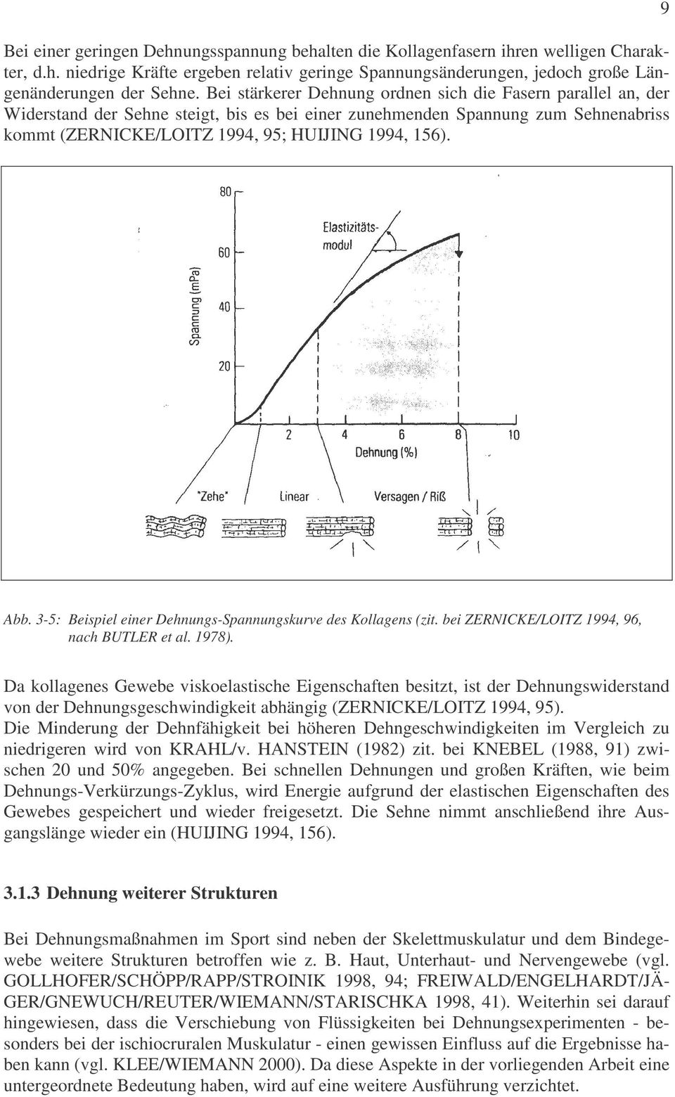 9 Abb. 3-5: Beispiel einer Dehnungs-Spannungskurve des Kollagens (zit. bei ZERNICKE/LOITZ 1994, 96, nach BUTLER et al. 1978).