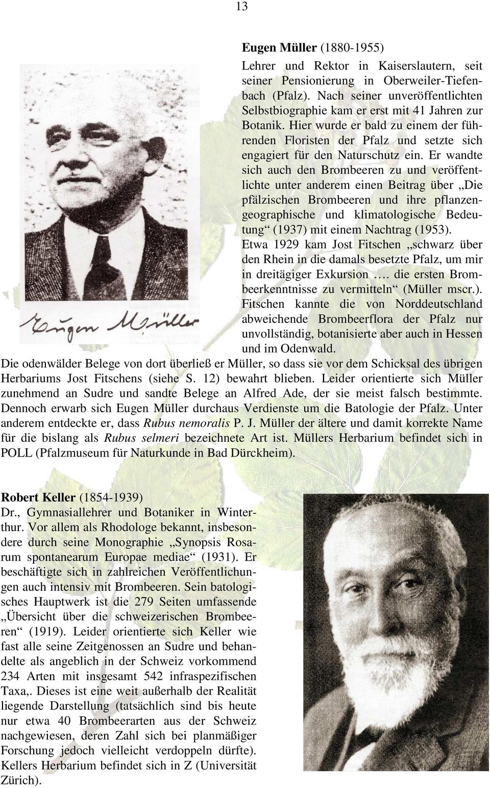 Er wandte sich auch den Brombeeren zu und veröffentlichte unter anderem einen Beitrag über Die pfälzischen Brombeeren und ihre pflanzengeographische und klimatologische Bedeutung (1937) mit einem
