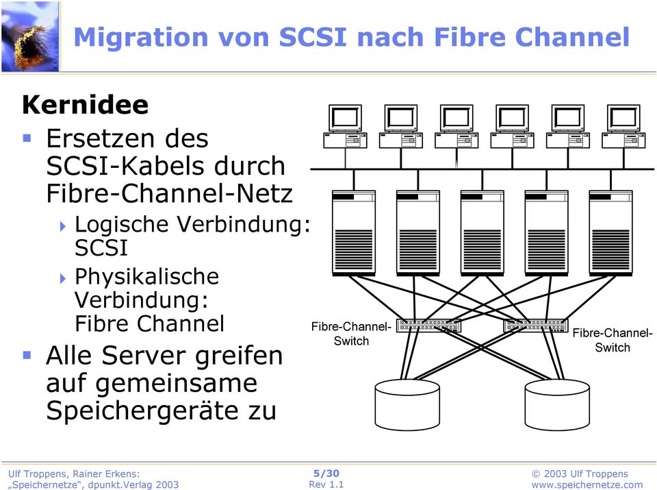 Physikalische Verbindung: Fibre Channel Alle Server greifen auf