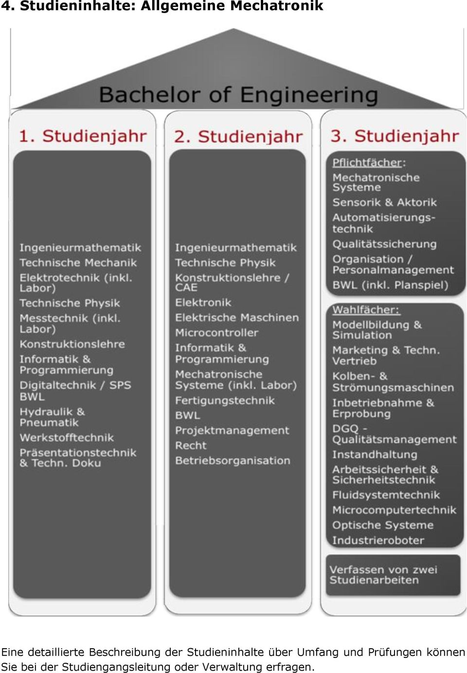 Studieninhalte über Umfang und Prüfungen