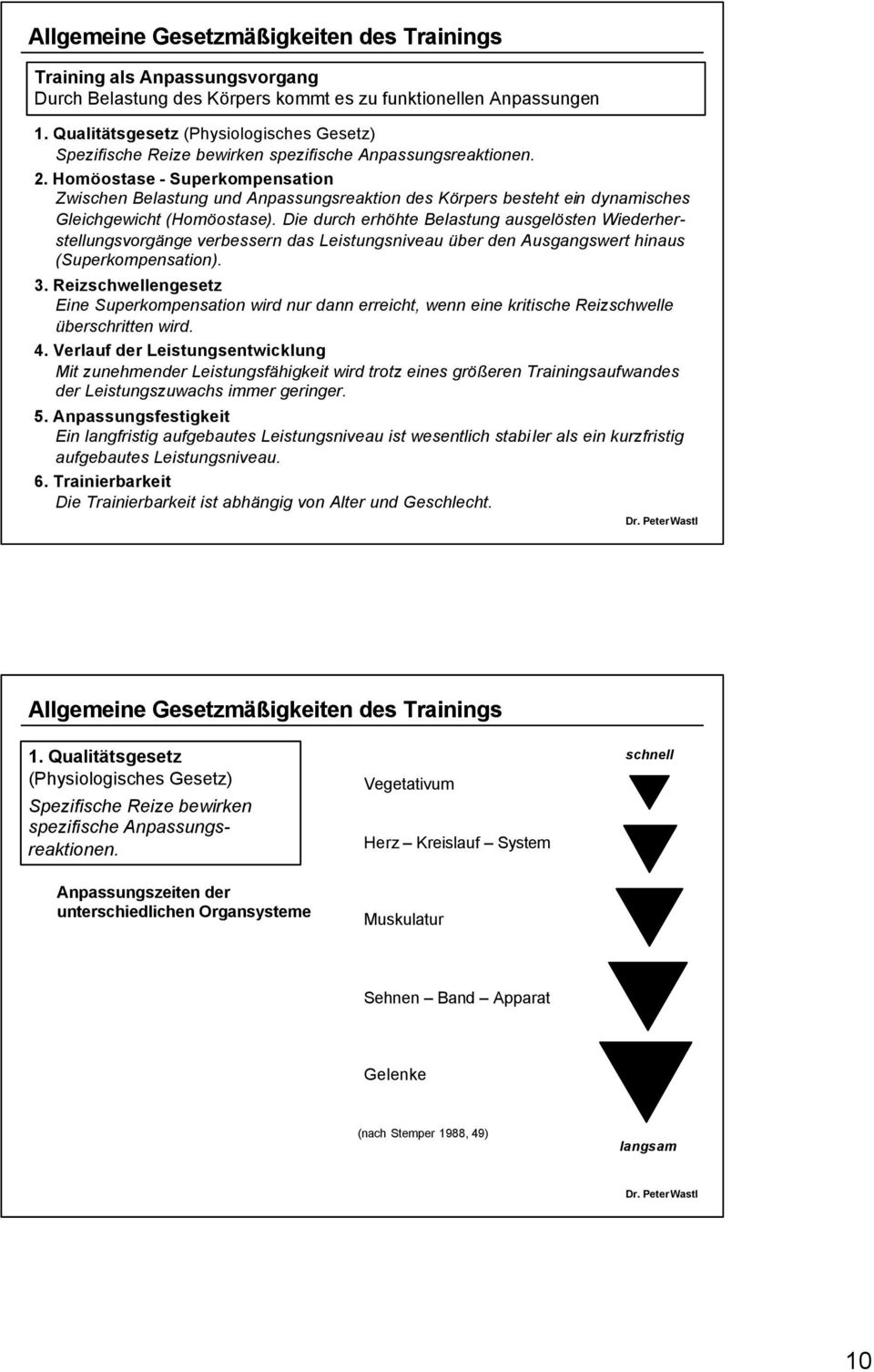 Homöostase - Superkompensation Zwischen Belastung und Anpassungsreaktion des Körpers besteht ein dynamisches Gleichgewicht (Homöostase).