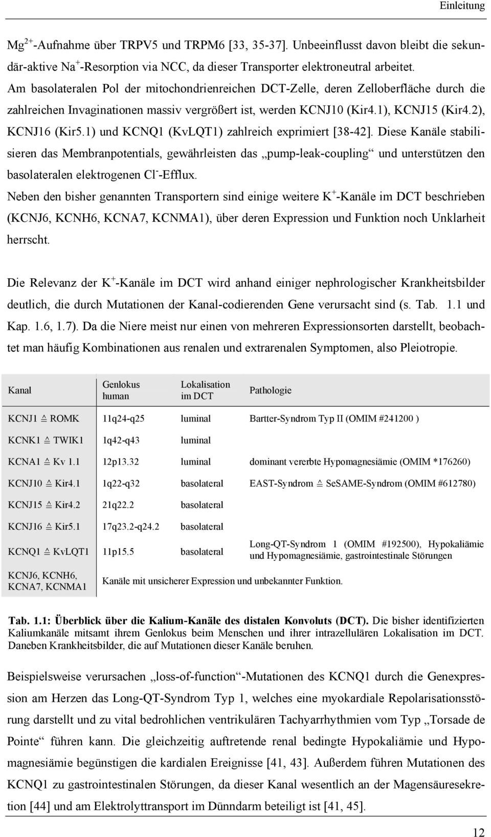 1) und KCNQ1 (KvLQT1) zahlreich exprimiert [38-42]. Diese Kanäle stabilisieren das Membranpotentials, gewährleisten das pump-leak-coupling und unterstützen den basolateralen elektrogenen Cl - -Efflux.