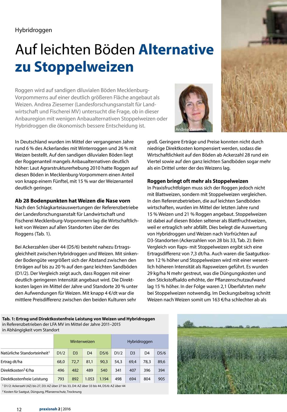ökonomisch bessere Entscheidung ist. Andrea Ziesemer In Deutschland wurden im Mittel der vergangenen Jahre rund 6 % des Ackerlandes mit Winterroggen und 26 % mit Weizen bestellt.