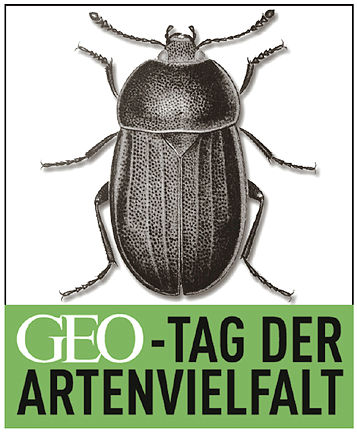 jemals im Gebiet gefundenen 560 Arten. Besonders erfreulich dabei ist die recht hohe Anzahl von Pflanzenarten (120), die in Brandenburg in der Roten Liste der gefährdeten Gefäßpflanzen (RISTOW et al.