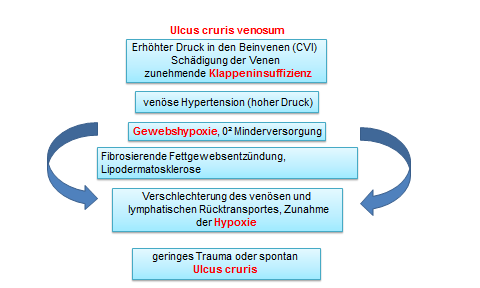 Seite 1 Der Fall des Monats Kompressionstherapie beim Ulcus cruris venosum Epidemiologie: Schätzungen zufolge leiden ca. 3 bis 4 Mio. Patienten in Deutschland an einer chronischen Wunde.