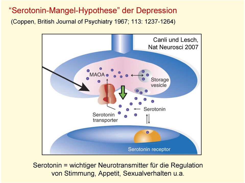 Lesch, Nat Neurosci 2007 Serotonin = wichtiger