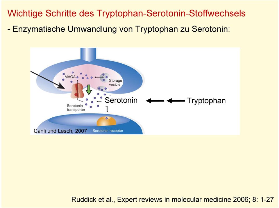 Serotonin Canli und Lesch, 2007 Ruddick et al.