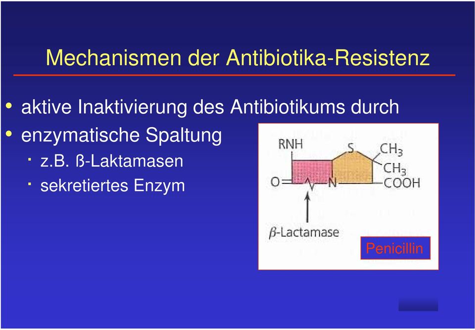 Antibiotikums durch enzymatische