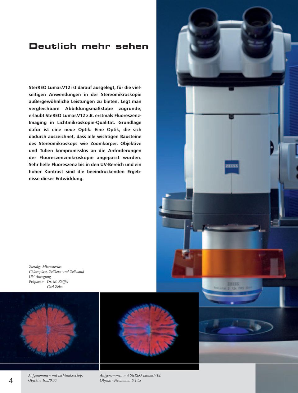 Eine Optik, die sich dadurch auszeichnet, dass alle wichtigen Bausteine des Stereomikroskops wie Zoomkörper, Objektive und Tuben kompromisslos an die Anforderungen der Fluoreszenzmikroskopie