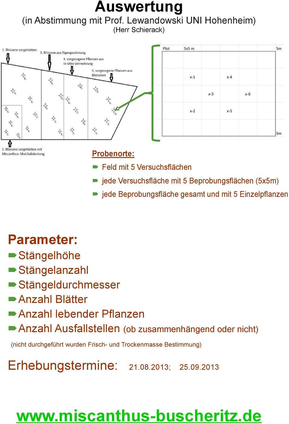 Beprobungsflächen (5x5m) jede Beprobungsfläche gesamt und mit 5 Einzelpflanzen Parameter: Stängelhöhe Stängelanzahl