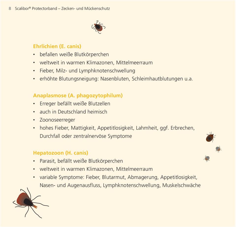 Schleimhautblutungen u.a. Anaplasmose (A.