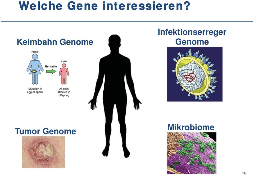 Keimbahn Genome