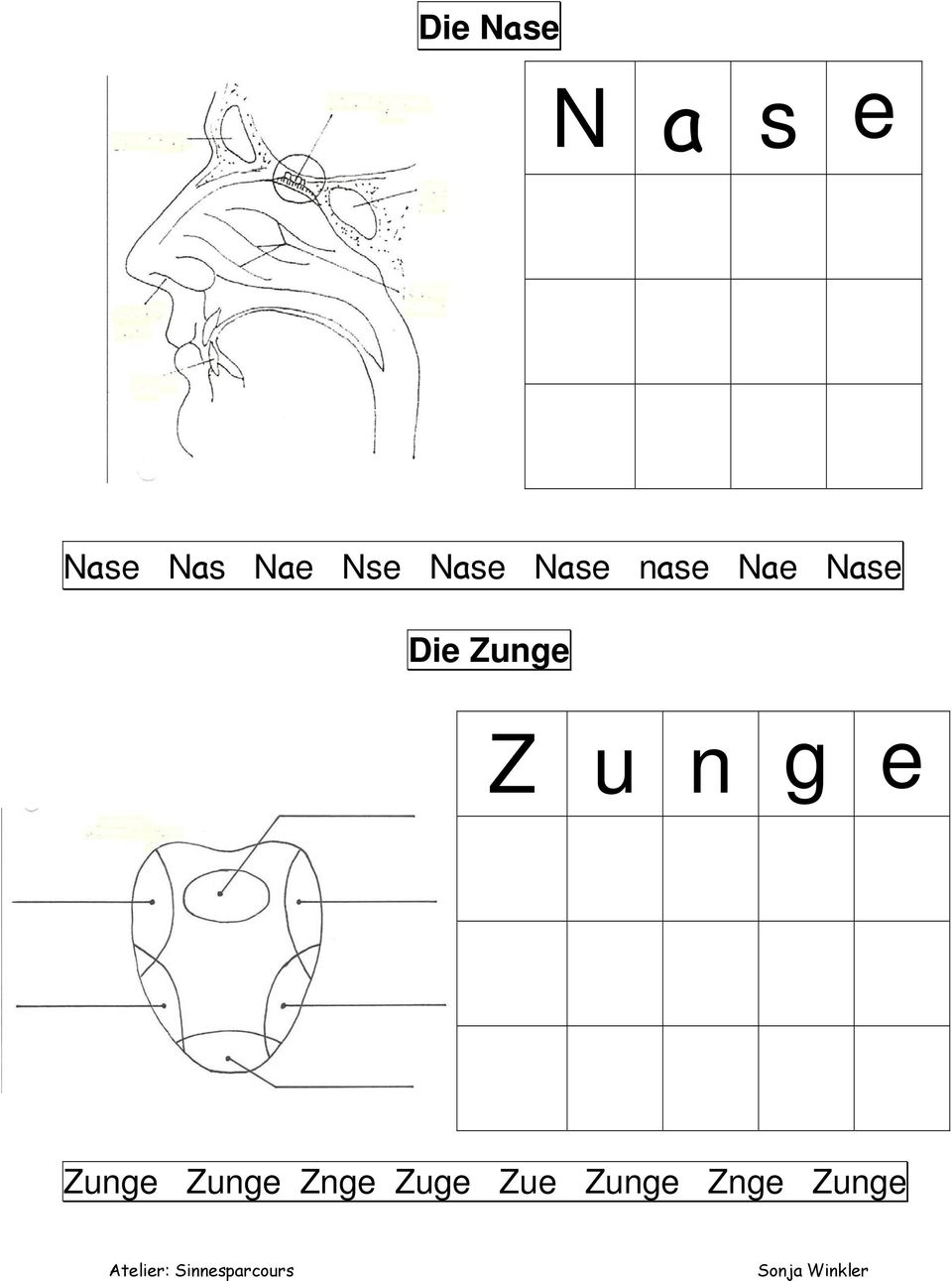 Die Zunge Z u n g e Zunge