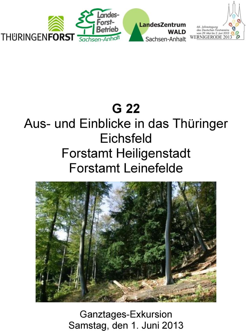 Heiligenstadt Forstamt Leinefelde